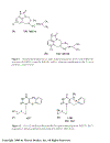 Drug Discovery Strategies and Methods