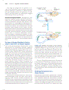 Lehninger Principles of Biochemistry 4th Edition