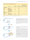 Lehninger Principles of Biochemistry 4th Edition