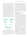 Lehninger Principles of Biochemistry 4th Edition