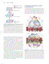 Lehninger Principles of Biochemistry 4th Edition