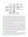 Biomechanics Principles and Applications