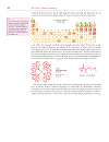 Organic Chemistry 1st Edition