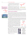 Organic Chemistry 1st Edition