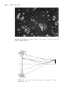 Handbook of Optics 2nd Edition Volume 1