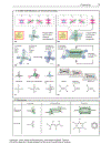 Color Atlas of Biochemistry