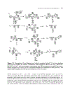 Computational Chemistry 1st Edition 1