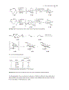 Domino Reactions in Organic Synthesis