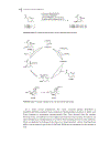 Domino Reactions in Organic Synthesis