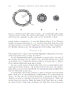 An Introduction to Black Holes Information and The String Theory