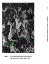 Advanced Polymer Processing Operations