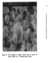 Advanced Polymer Processing Operations