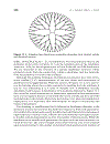 Dendrimers and Other Dendritic Polymers