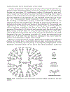 Dendrimers and Other Dendritic Polymers