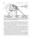 Dendrimers and Other Dendritic Polymers