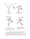 Cycloaddition Reactions in Organic Synthesis