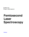 Femtosecond Laser Spectroscopy 1st Edition