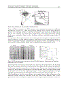 Biomass Detection