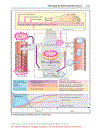 Color Atlas of Pharmacology 3rd Edition