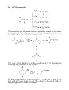 Named Organic Reactions 2nd Edition