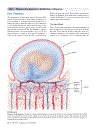 Biology