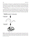 Computational Biochemistry and Biophysics