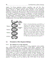 Fundamentals of Space Biology