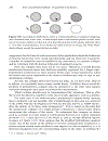 Quantum Mechanics 4th Edition