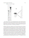 PCR Protocols