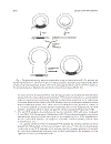 PCR Protocols