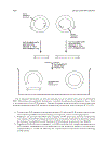 PCR Protocols