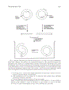 PCR Protocols