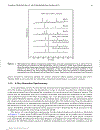 Surface and Nanomolecular Catalysis