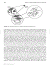 Surface and Nanomolecular Catalysis