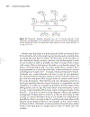 Understanding DNA The Molecule and How it Works 3rd Edition