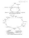 Biophysics