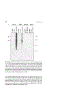 Stem Cell Biology and Gene Therapy