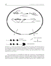 Plant Genomics and Proteomics