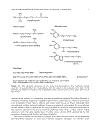 Neurotransmitters