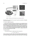 Biophotonics Optical Science and Engineering for the 21st Century