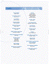 Visual Microsoft Office Excel 2007 Data Analysis