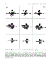 Grounding Cognition Reissue Edition