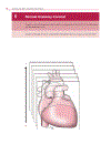 Cardiovascular MRI in Congenital Heart Disease