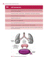 Cardiovascular MRI in Congenital Heart Disease