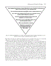 The Psychotherapy of Psychosis