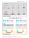 Color atlas of genetics Passarge E