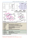 Color atlas of genetics Passarge E