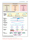 Color atlas of genetics Passarge E