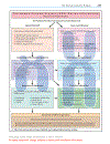 Color atlas of genetics Passarge E