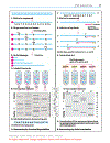 Color atlas of genetics Passarge E